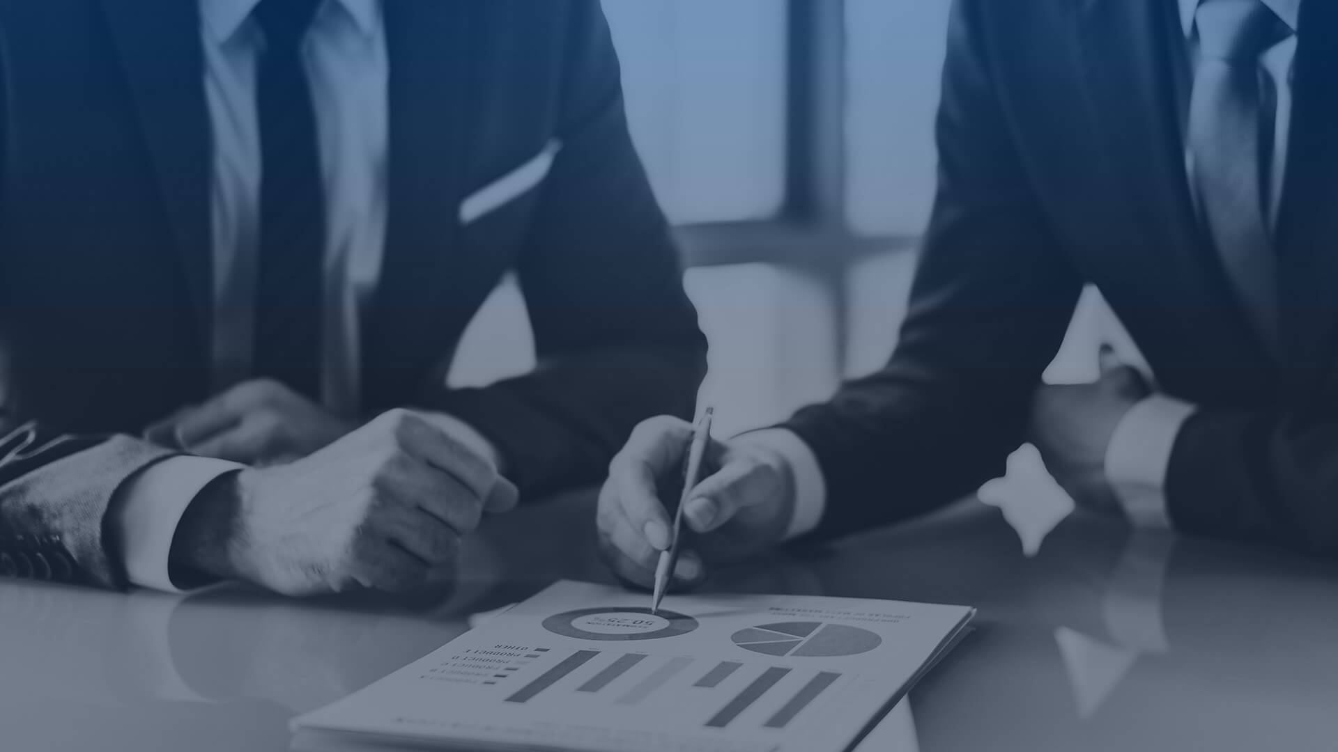 Profesyonel Danışmanlık Hizmeti